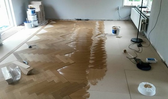 eiken verouderde visgraat